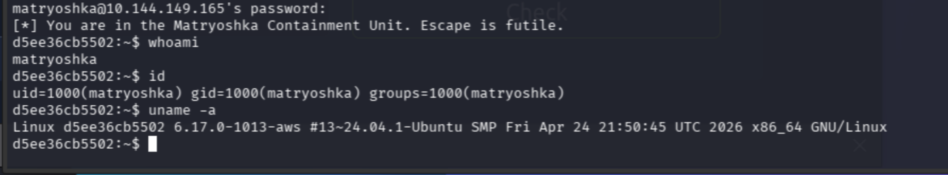 system info Linux 6.17.0-1013-aws Ubuntu